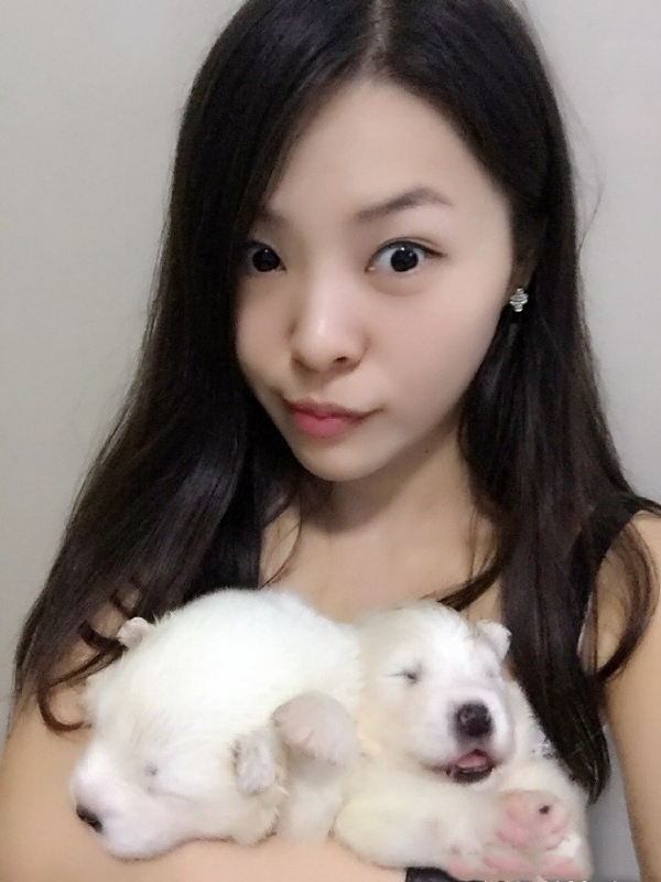 如果可以的第三张照片--烟台相亲服务中心