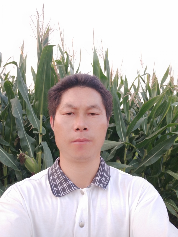 四海游龙的第一张照片--烟台相亲服务中心