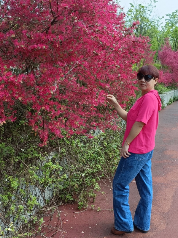 羊羊的第一张照片--烟台相亲服务中心