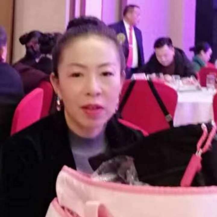 中秋桂花玉兔的第四张照片--烟台相亲服务中心